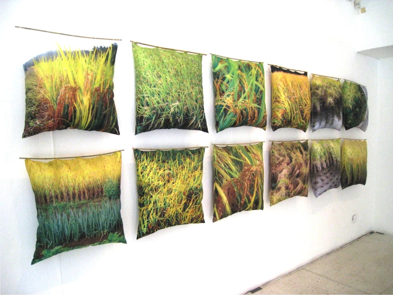 "RIISIPÕLDUDE MAA KOREA" installatsioon patjadest 2011  20-50 patja mõõdus 60x60 cm  kangale trükitud Korea riisipõldude fotod, padjatäidis,bambuspulk <br />"KOREA- THE LAND OF RICE FIELDS" installation of pillows 2011  20-50 pillows measures 60x60 cm  photos of rice fields printed on canvas,pillowfill,bamboo