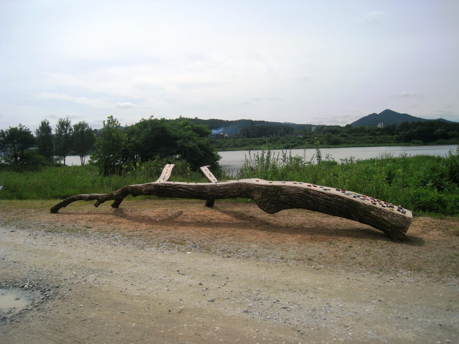 "ÜKS MAAILM" 2014 puu, plastikust putukad ja mänguautod p= 8 m - Geumgang Nature Art Biennale, Gongju, Lõuna Korea<br /> "ONE WORLD" 2014 wood, plastic insects and cars  l= 8 m - Geumgang Nature Art Biennale, Gongju, South Korea